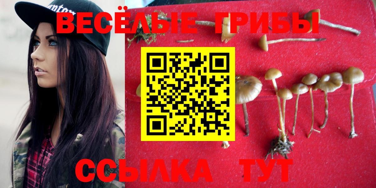 Псилоцибиновые грибы Cubensis Узловая